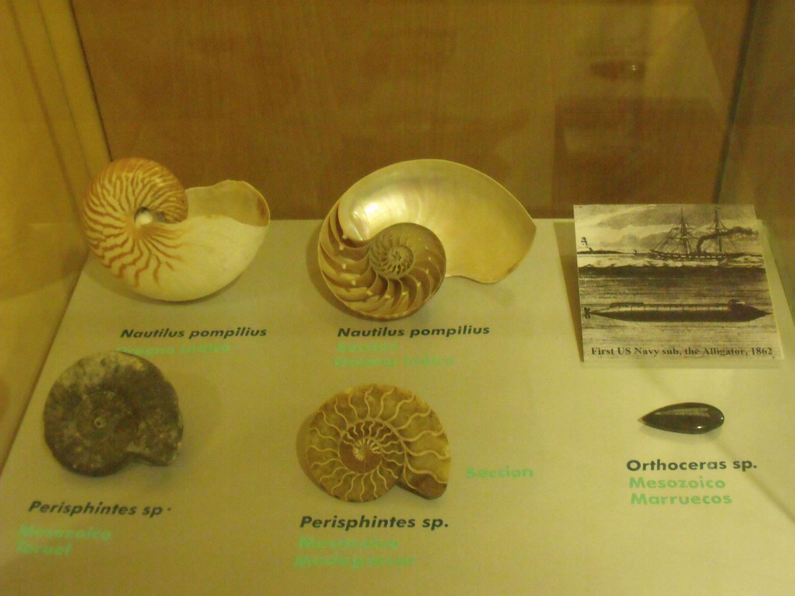 Museum of Natural Science