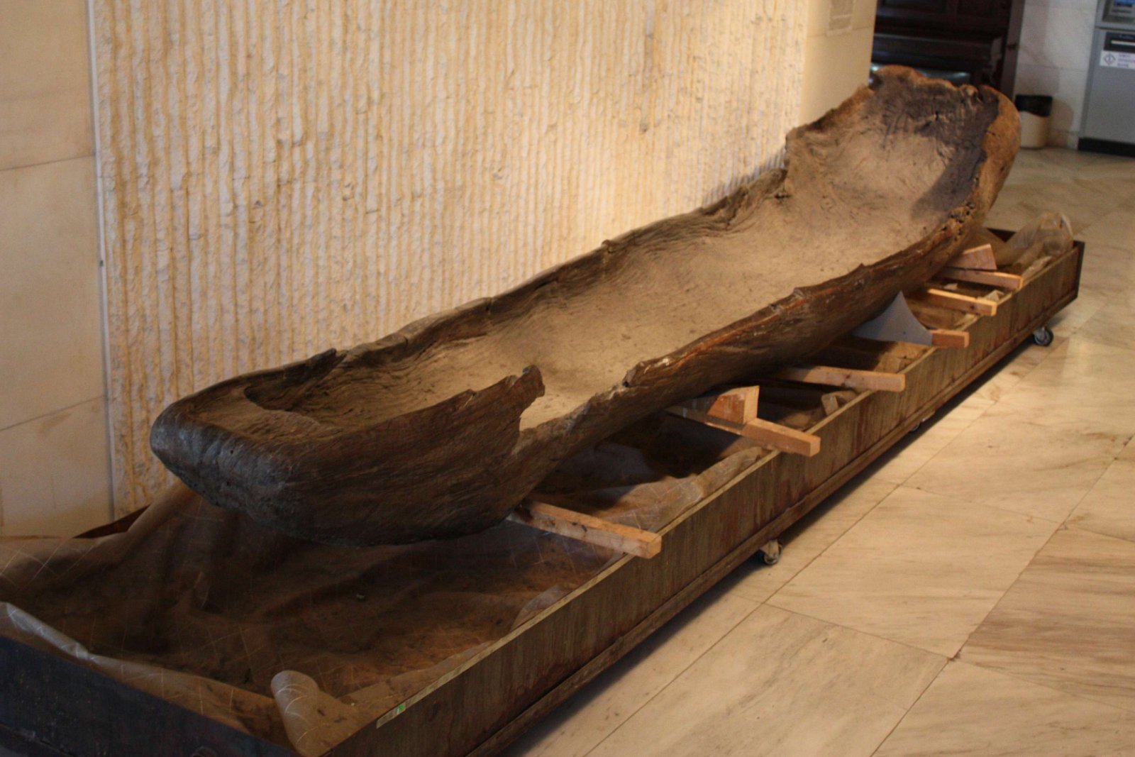 National History Museum