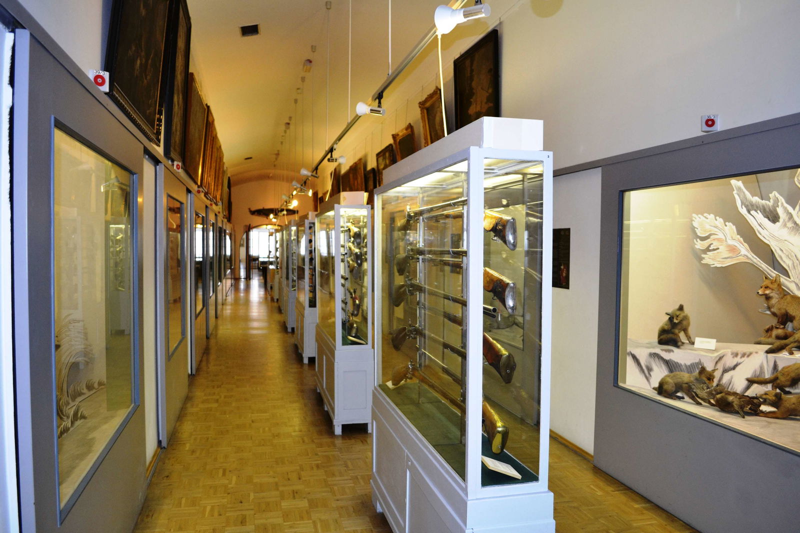 Museum of Hunting and Fishing (Deutsches Jagd und Fischereimuseum)
