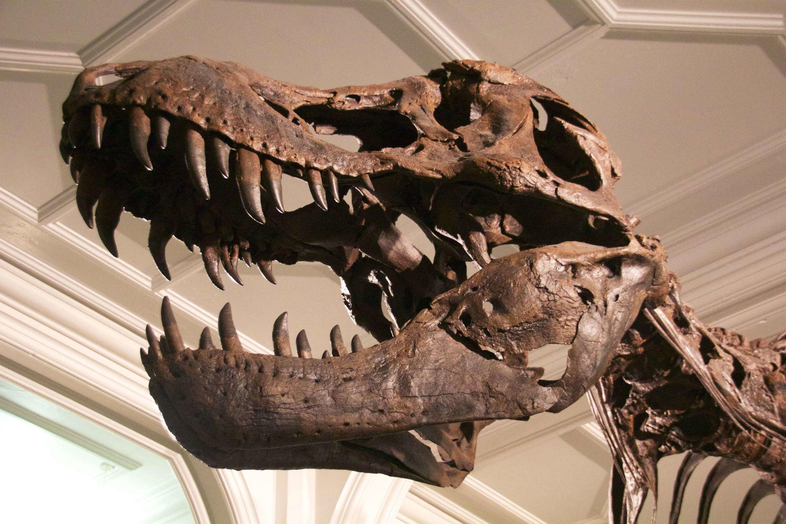 Museo de Mánchester