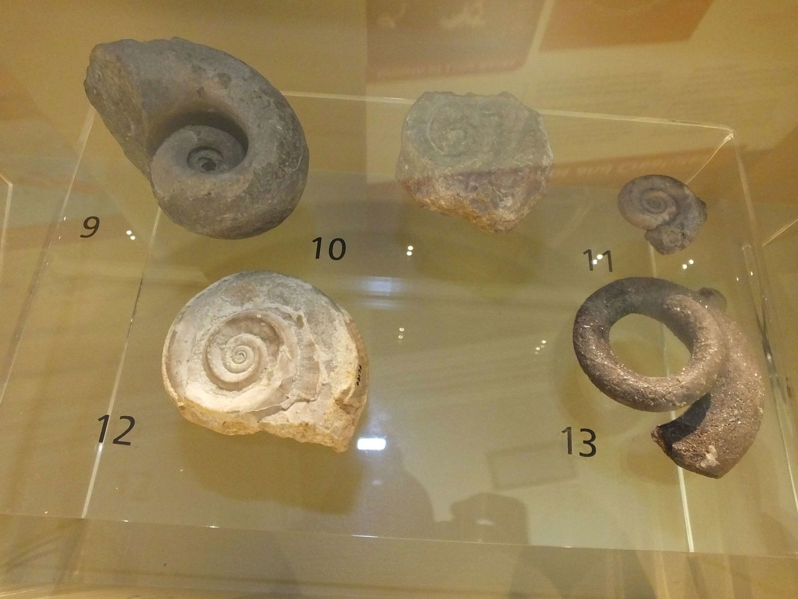 Clitheroe Castle Museum