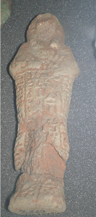 Petrie Museum of Egyptian Archaeology