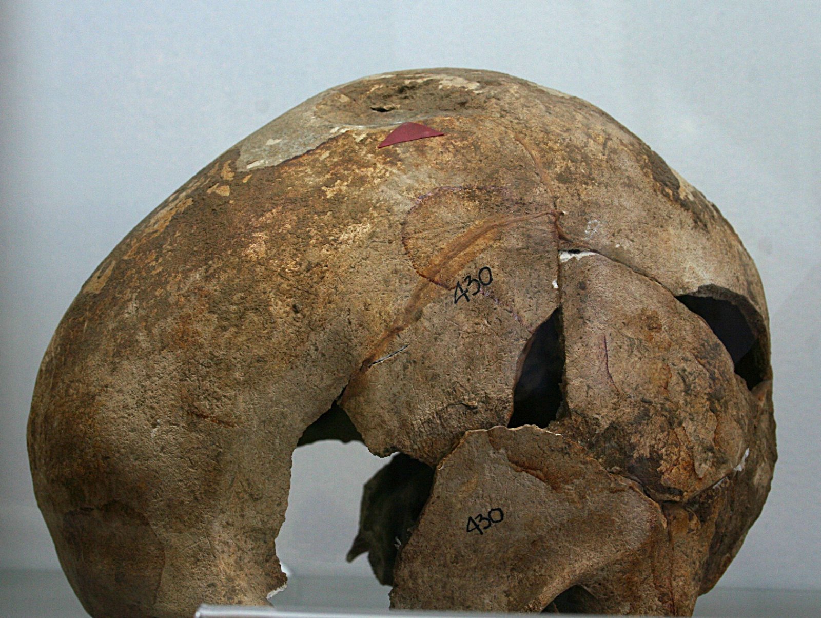 Archeological Museum in Gdańsk