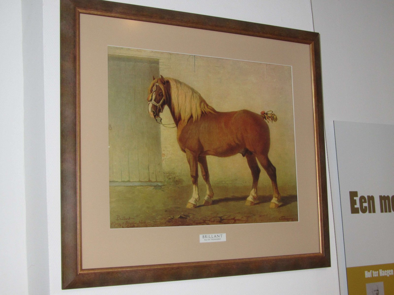 Museum van het Belgisch Trekpaard