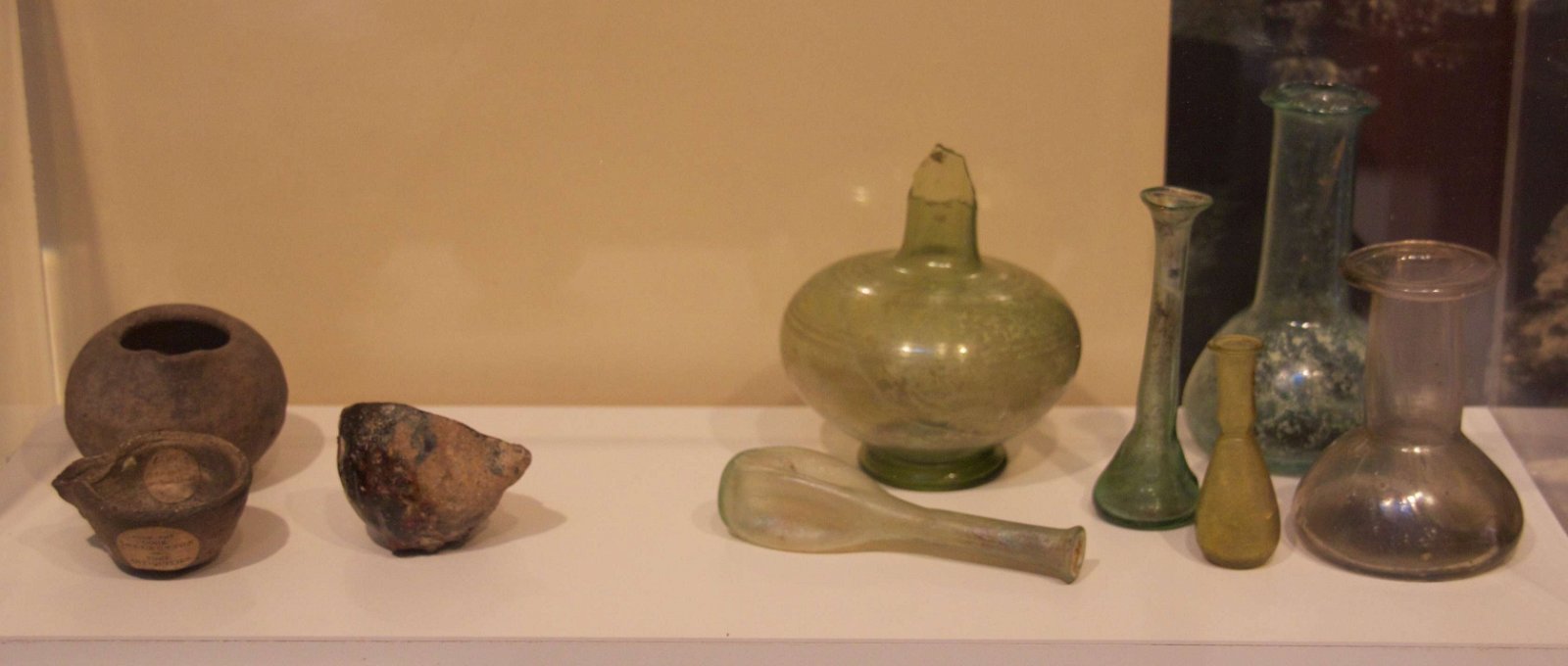 Yorkshire Museum and Gardens