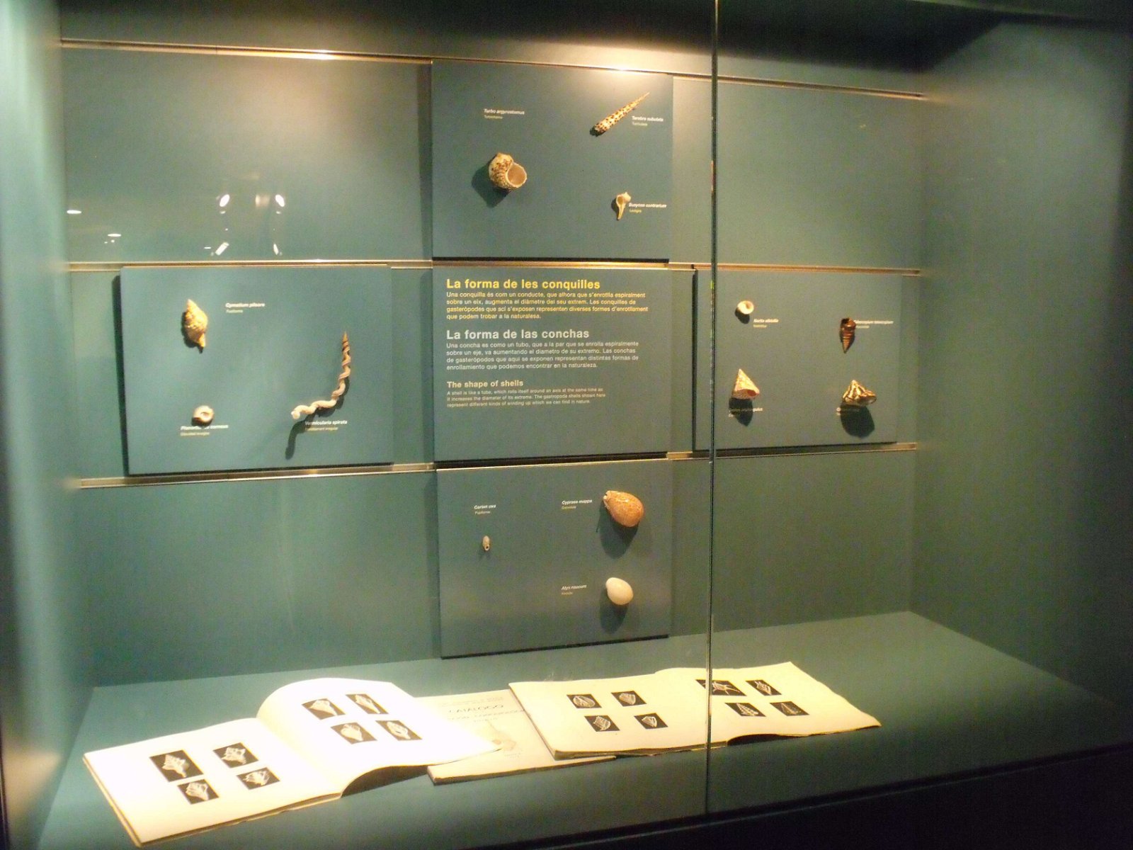 Museum of Natural Science