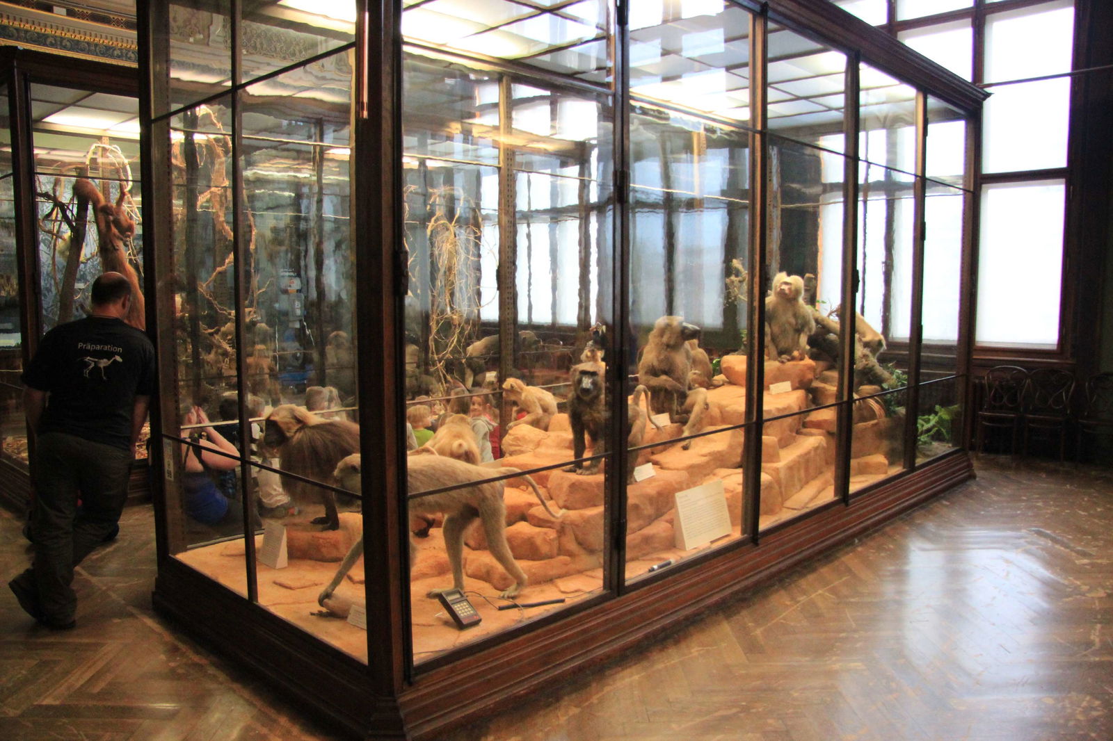 Natural History Museum