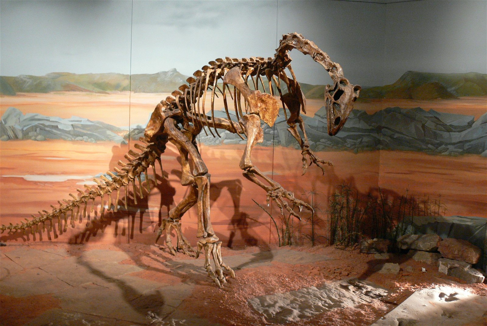 National Museum Cardiff