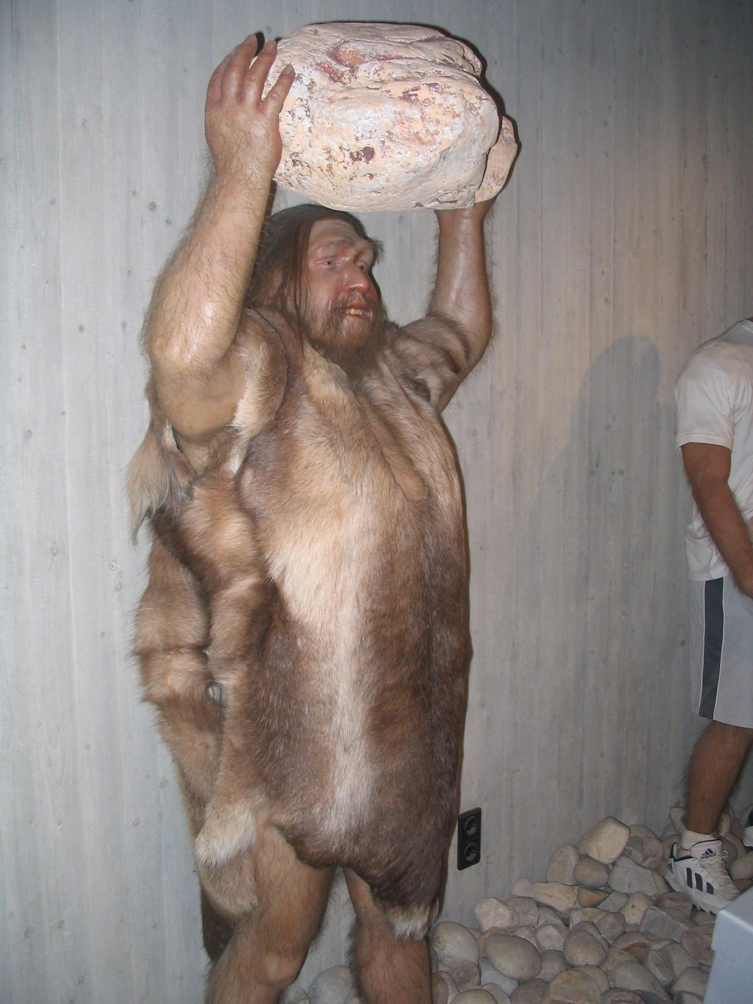 Neanderthal Museum