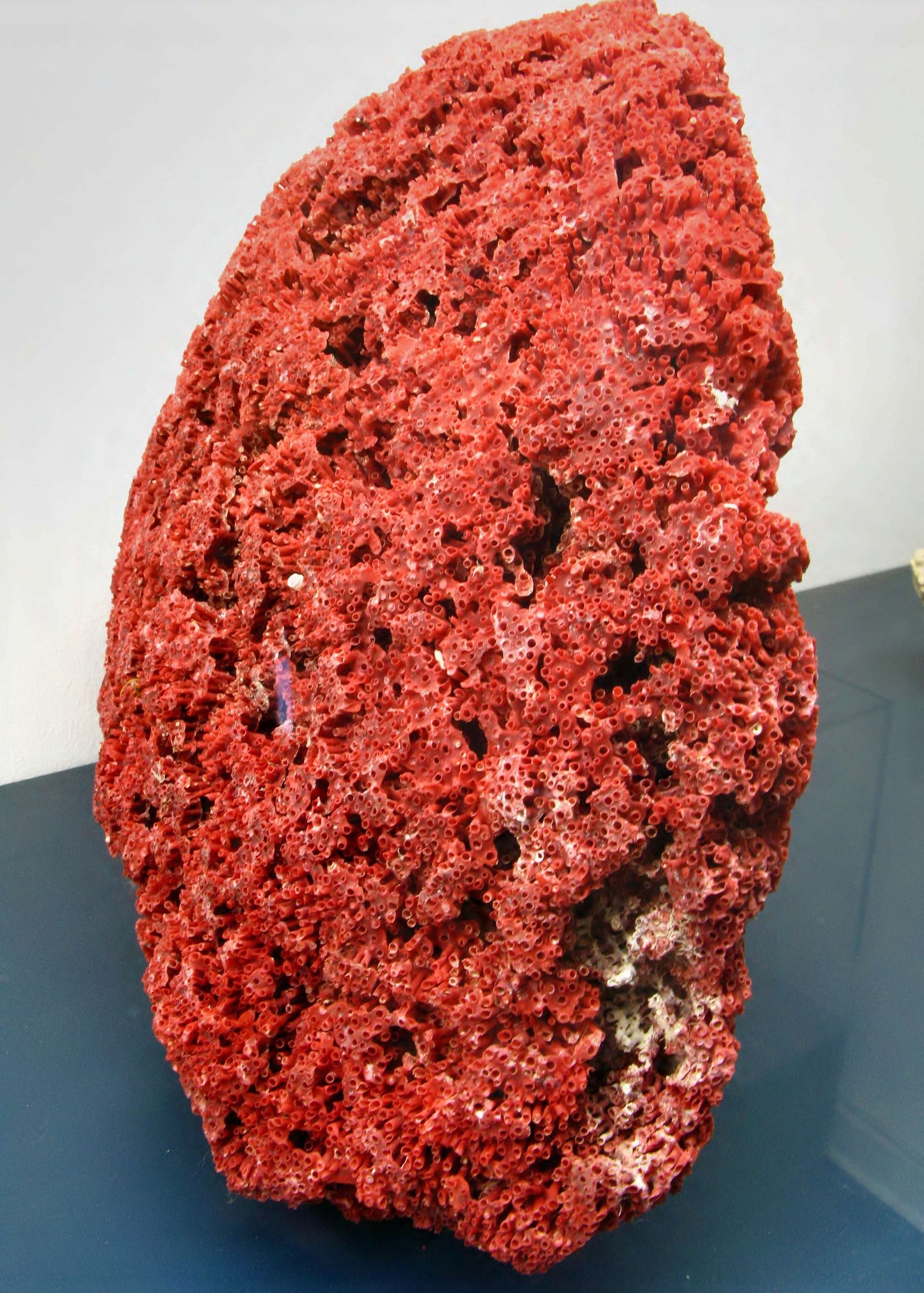 Mineralien-Museum Essen-Kupferdreh