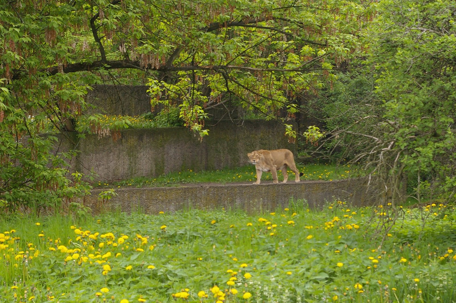 Lodz Zoo
