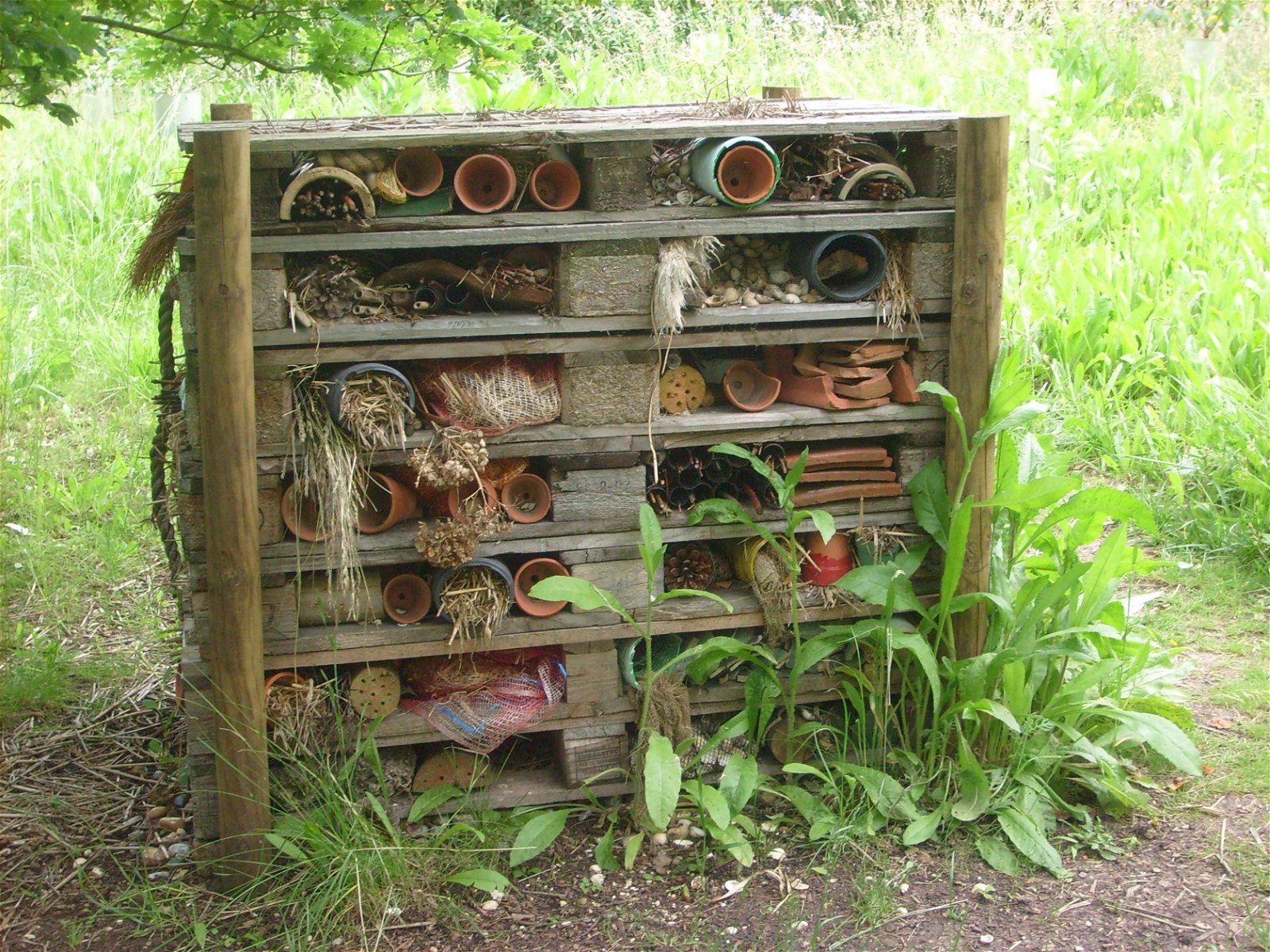 RHS Garden Hyde Hall