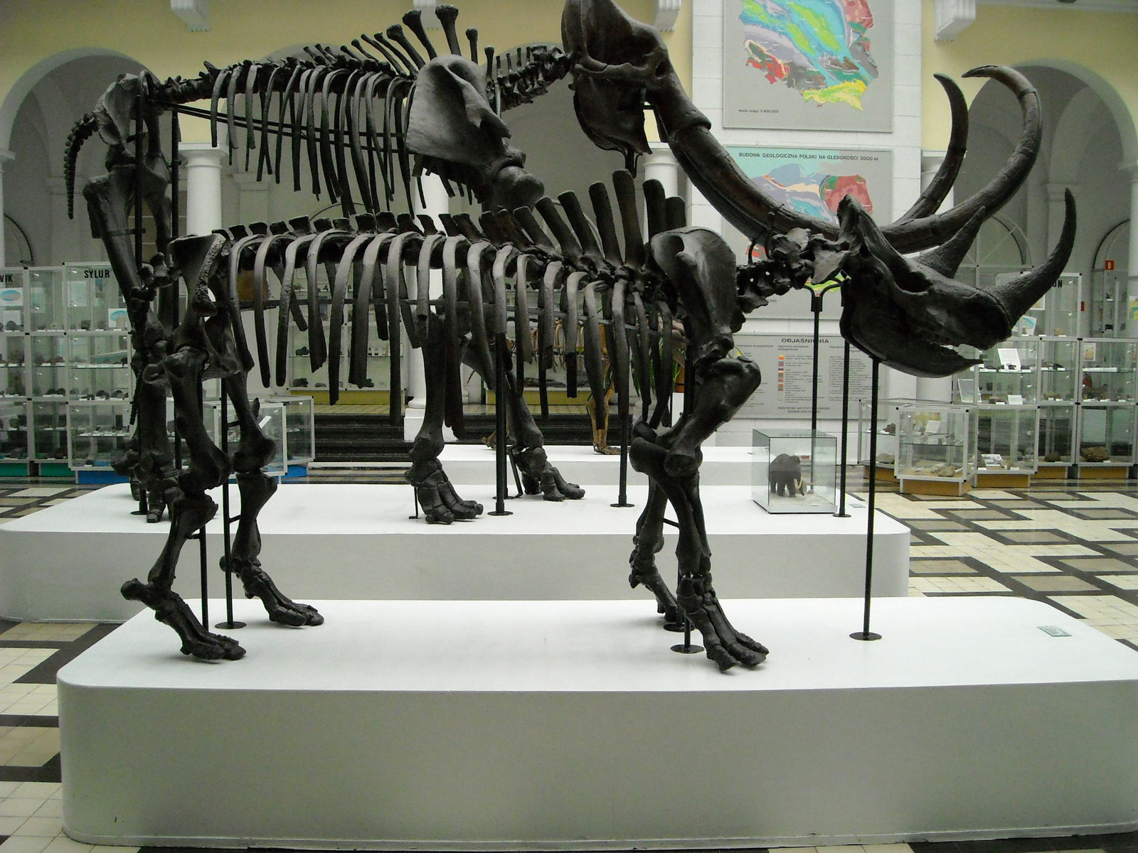 Geological Museum of the Polish Geological Institute