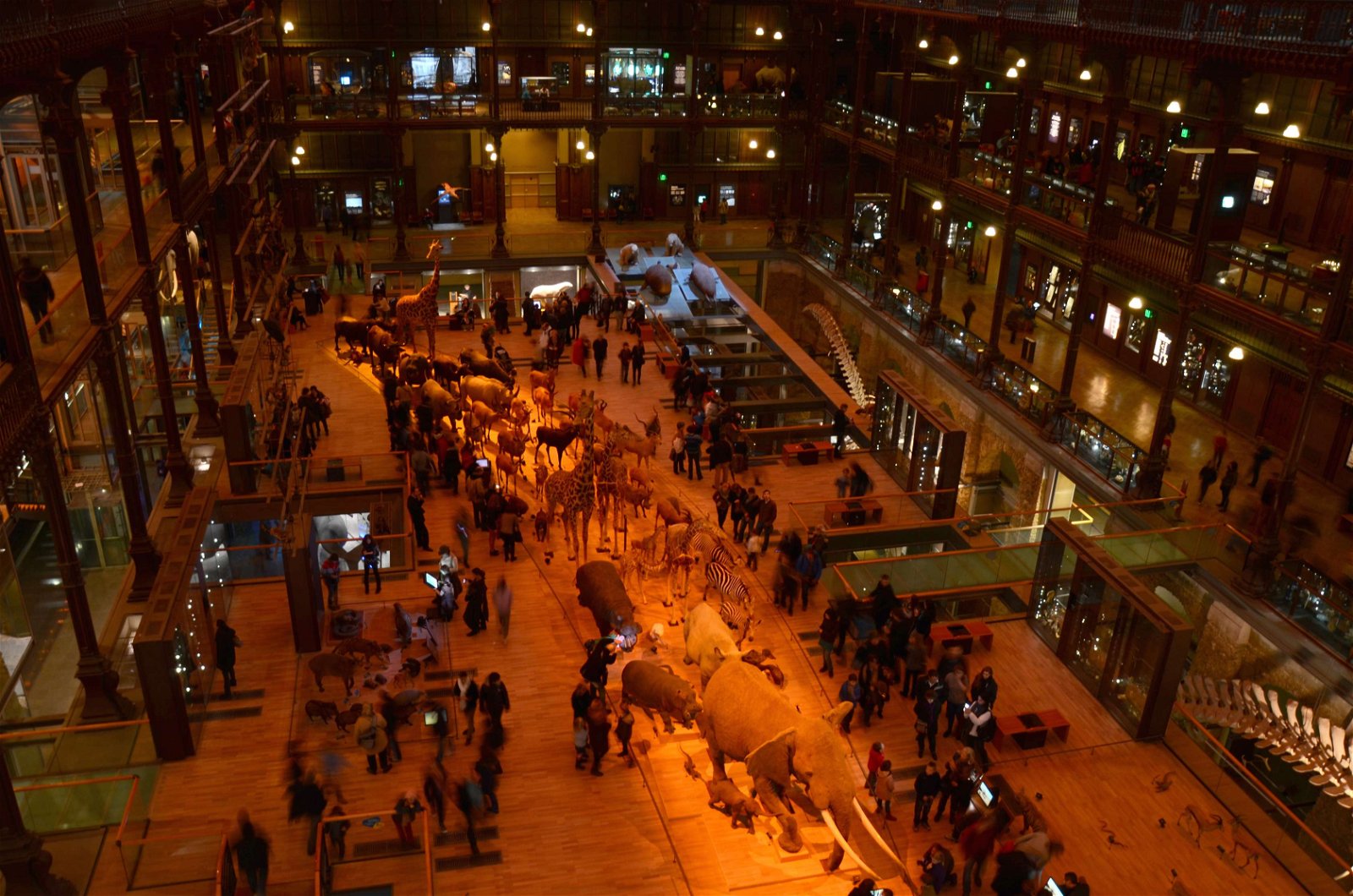 Grande Galerie de l'Evolution