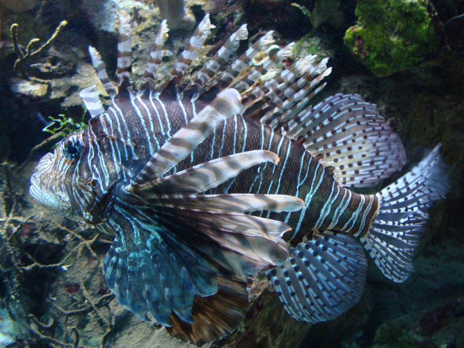 Zoo Aquarium de Madrid