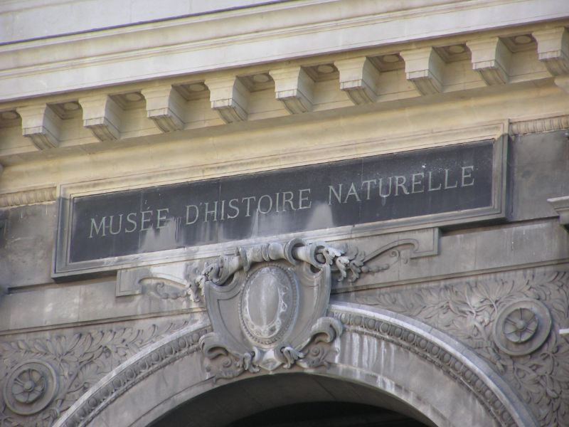 Musee d'Histoire Naturelle