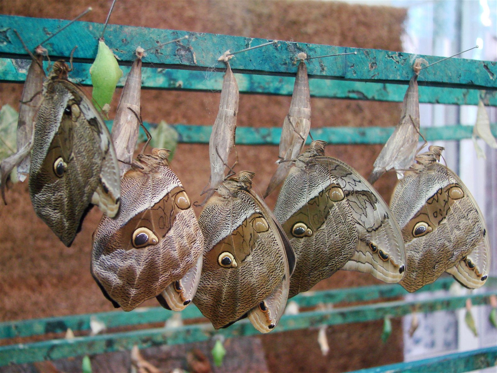 Wroclaw Zoo & Africarium