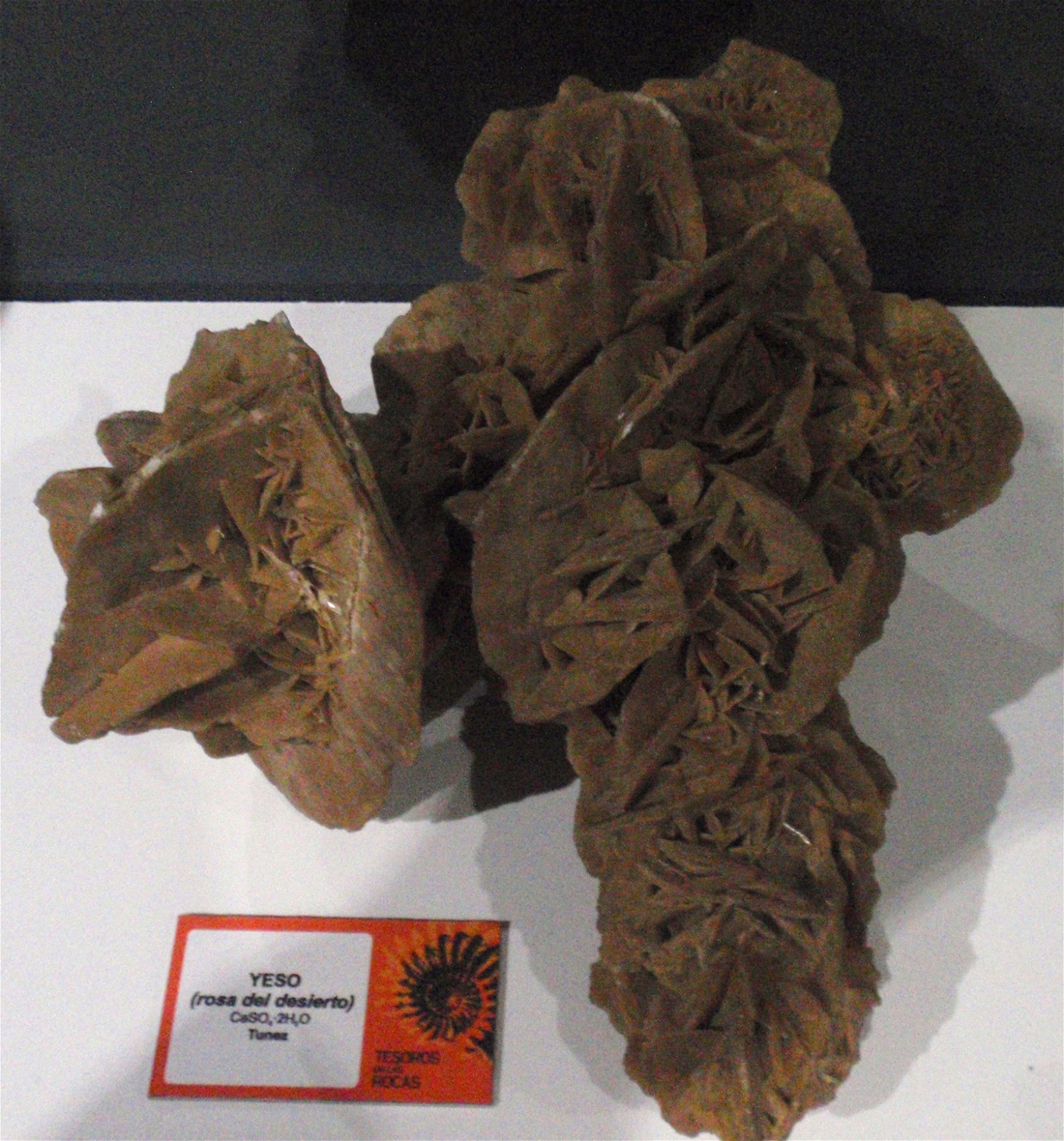 Museo Elder de la Ciencia y la Tecnología