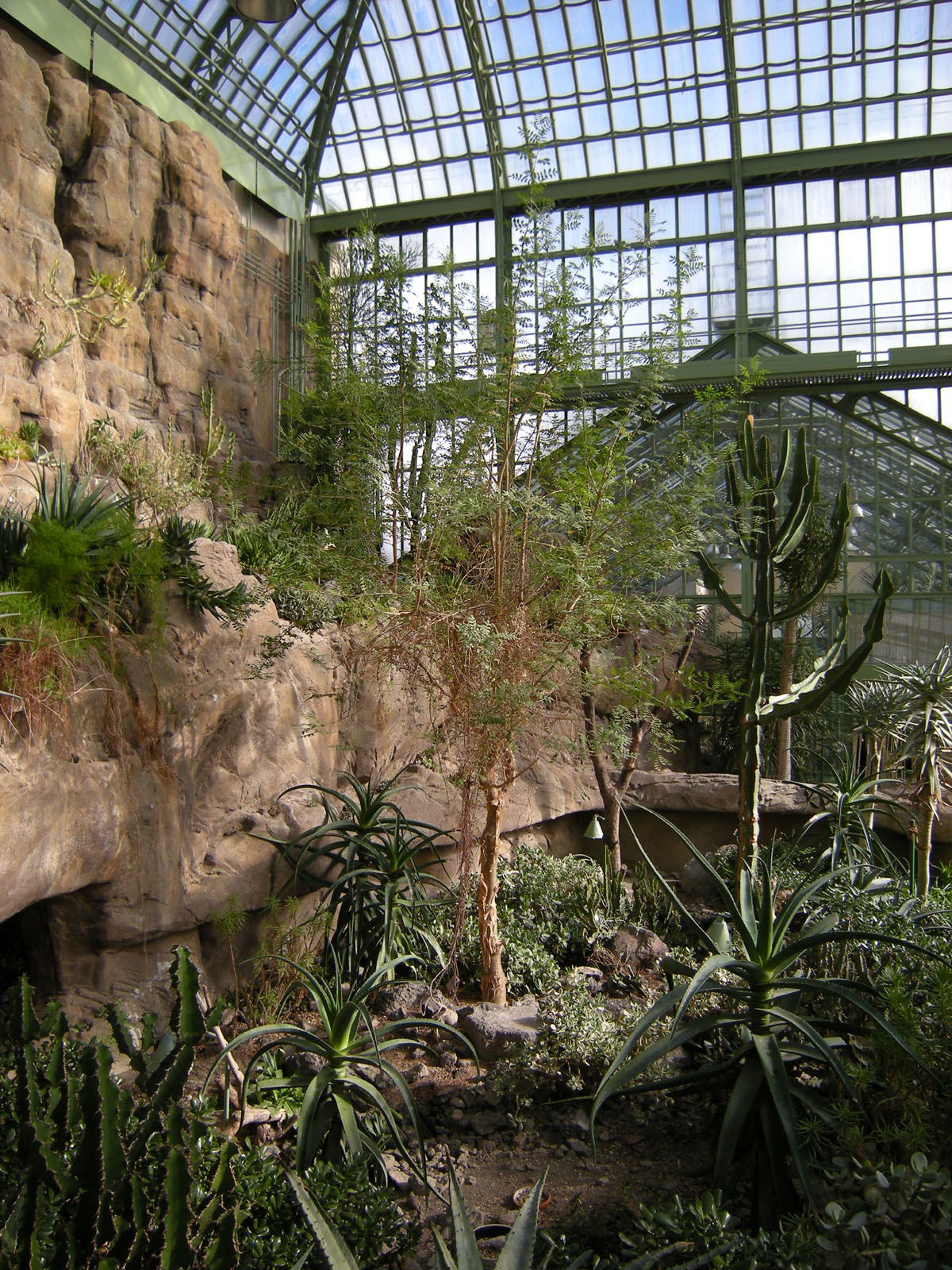 Schönbrunn Desert House