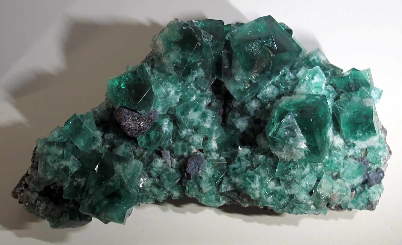 Museo di Storia Naturale di Firenze - Geologia e Paleontologia