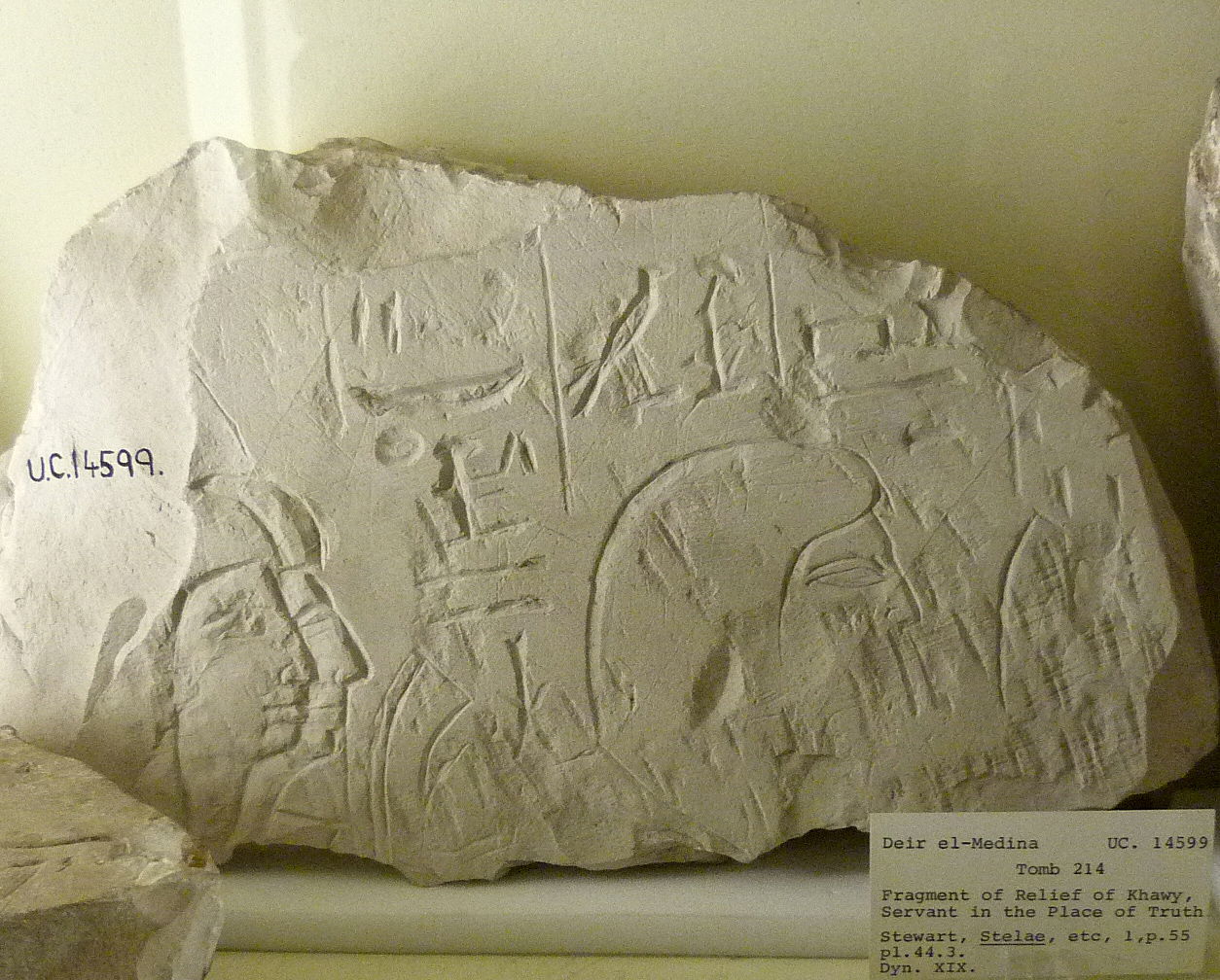 Petrie Museum of Egyptian Archaeology