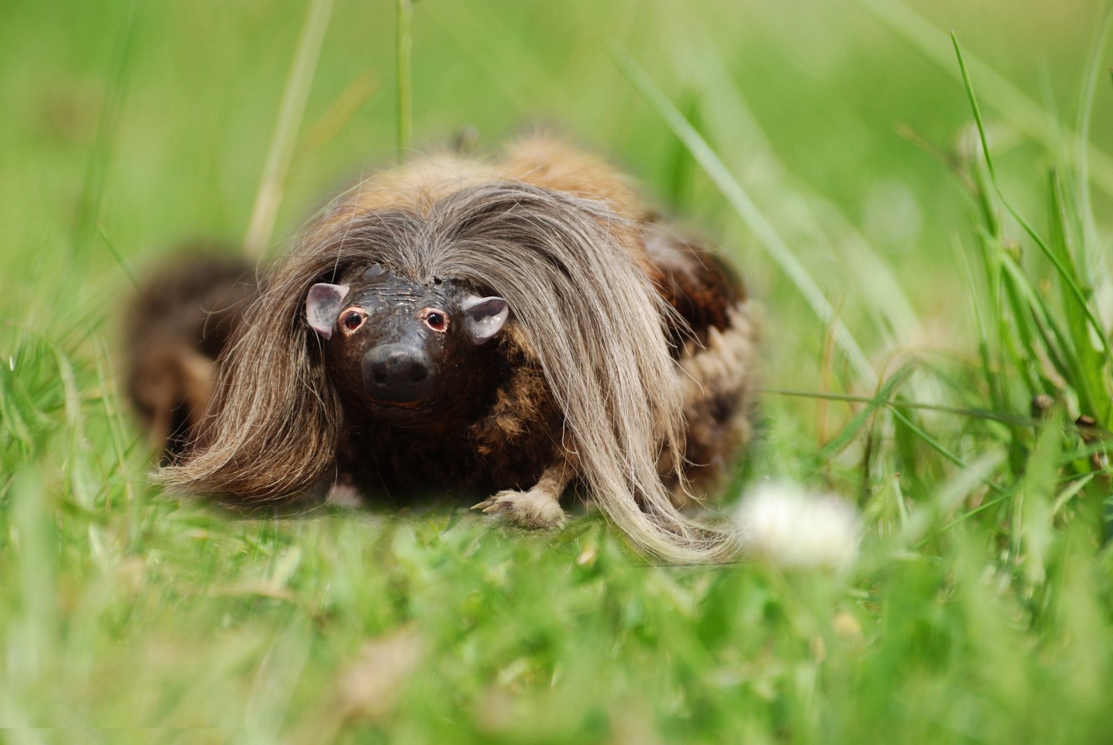 Kelvingrove Art Gallery and Museum