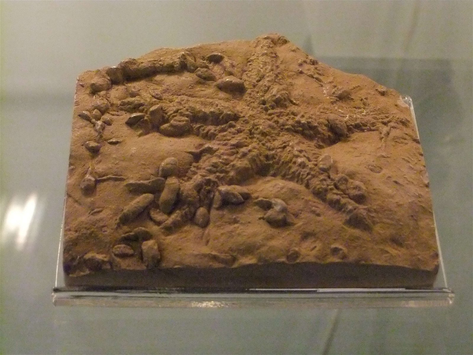 Wrexham County Borough Museum and Archives