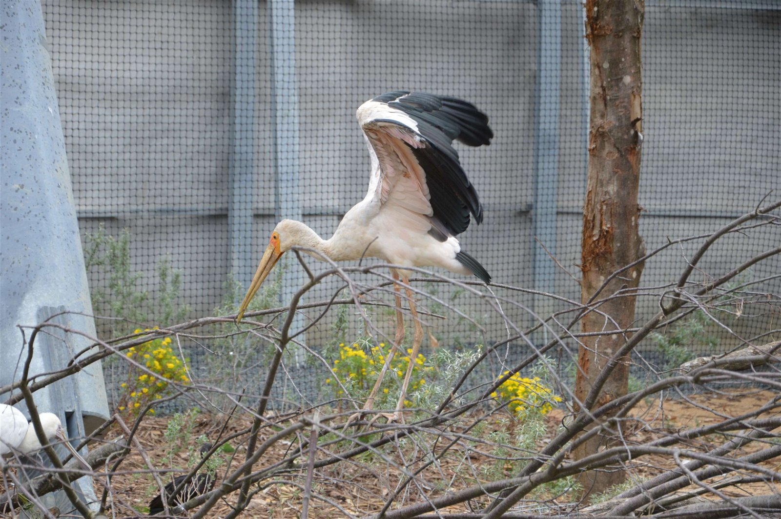 Parc zoologique de Paris