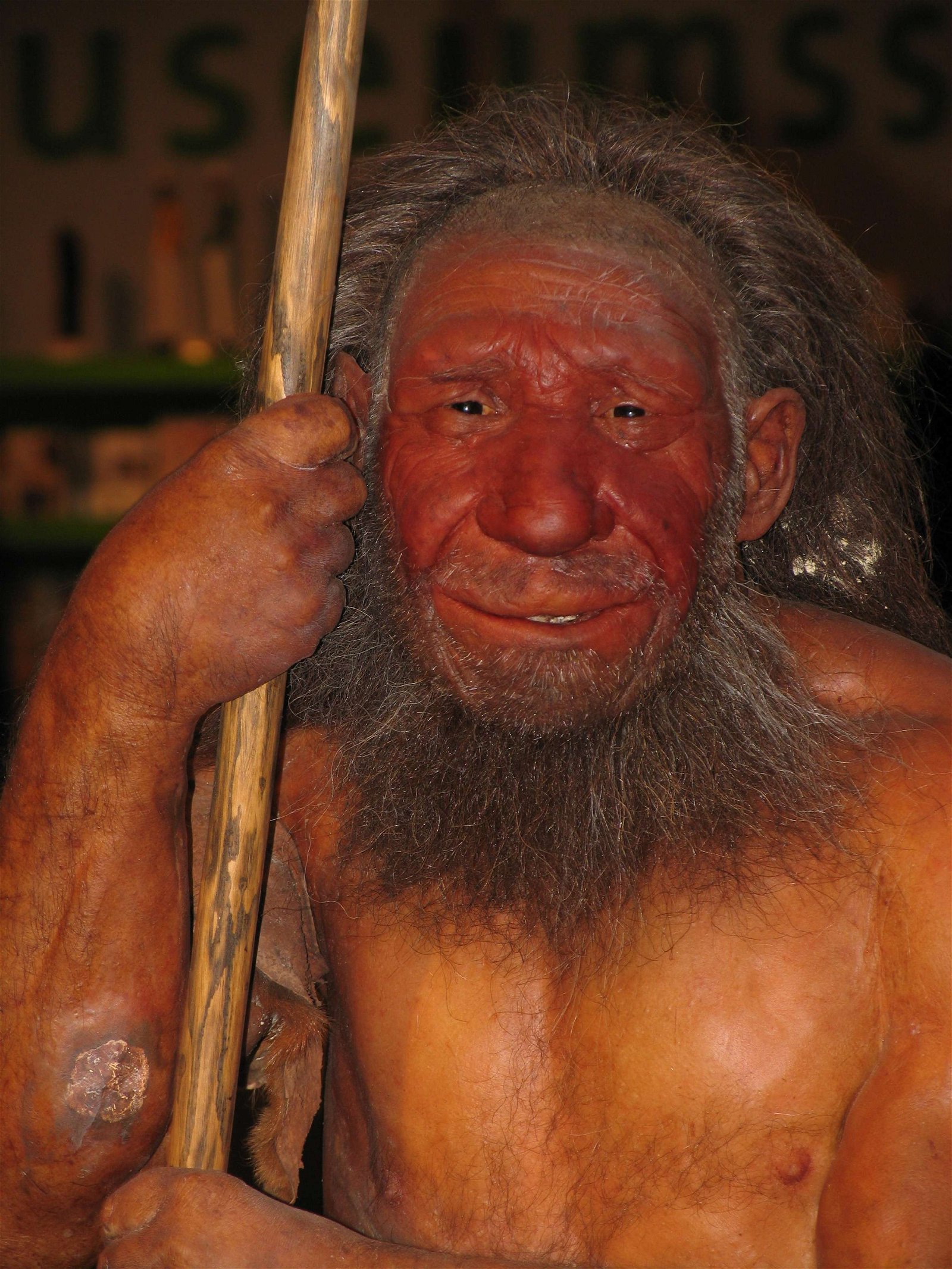 Neanderthal Museum