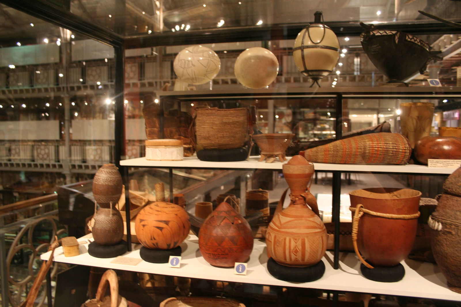 Museo Pitt Rivers