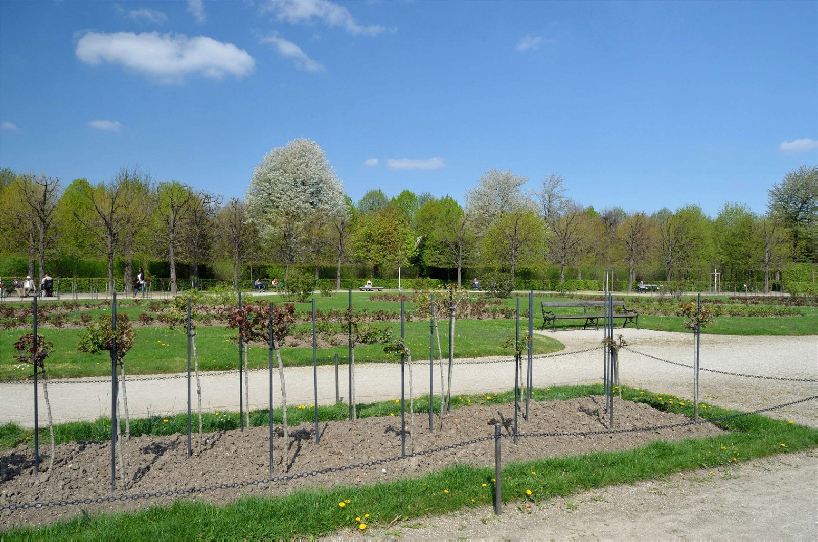 Schonbrunner Gardens
