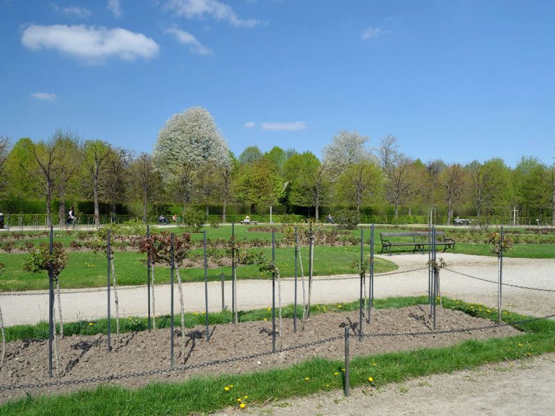 Schonbrunner Gardens