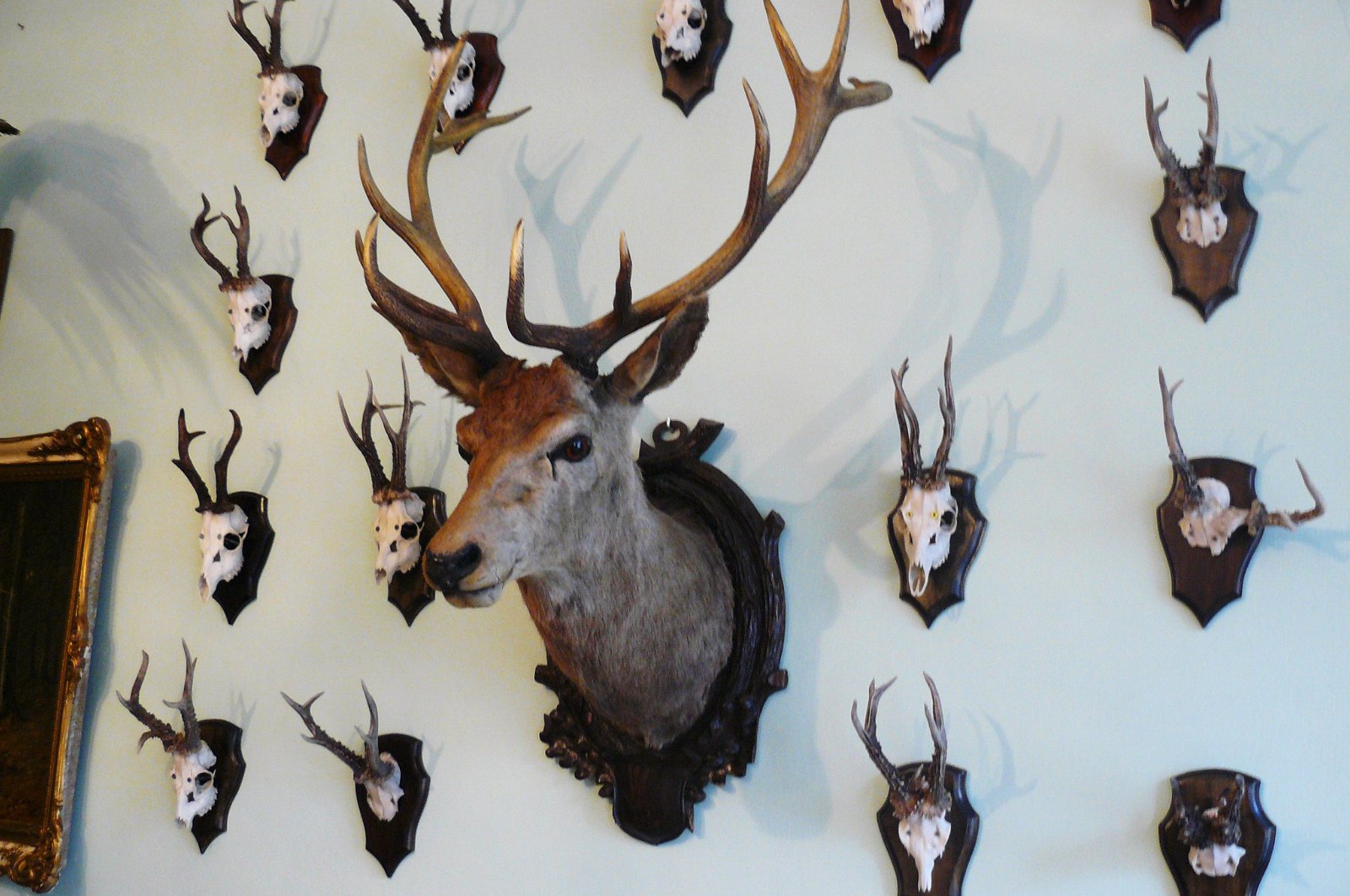 Museum of Natural Environment and Hunting