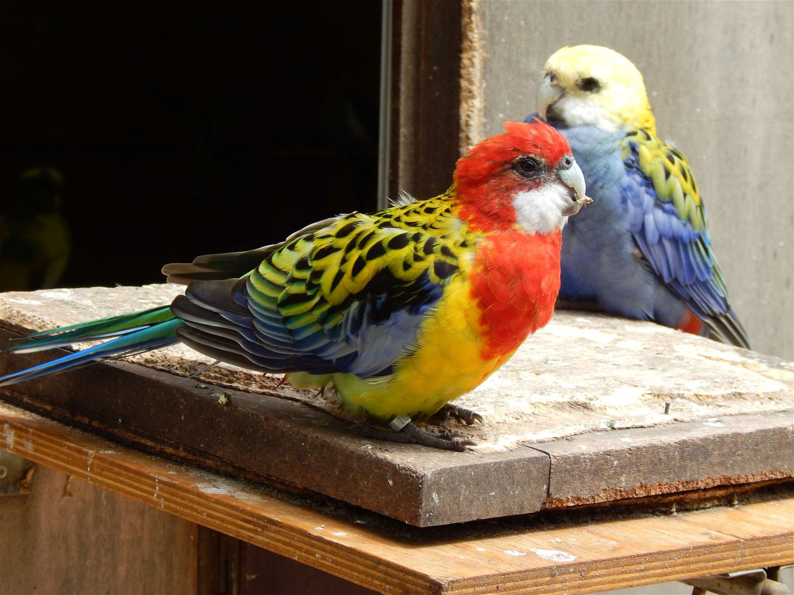 Tierpark und Fossilium Bochum