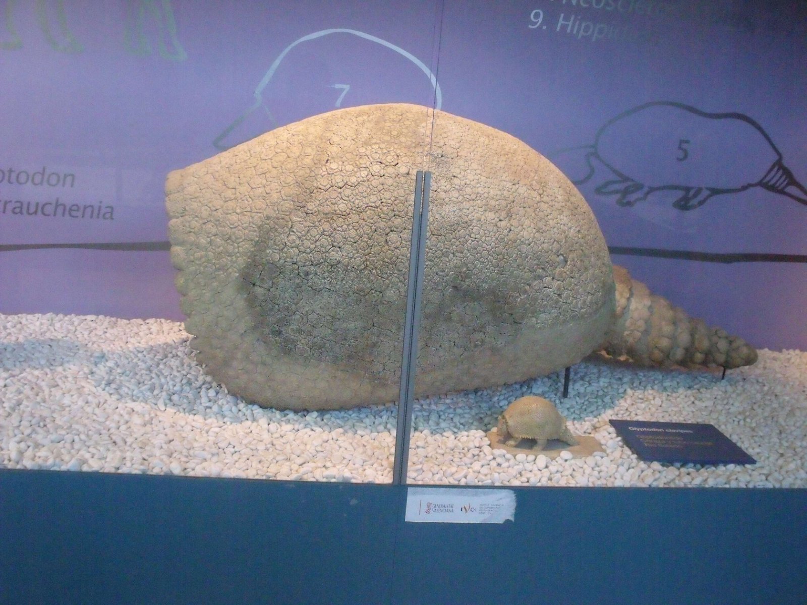 Museum of Natural Science