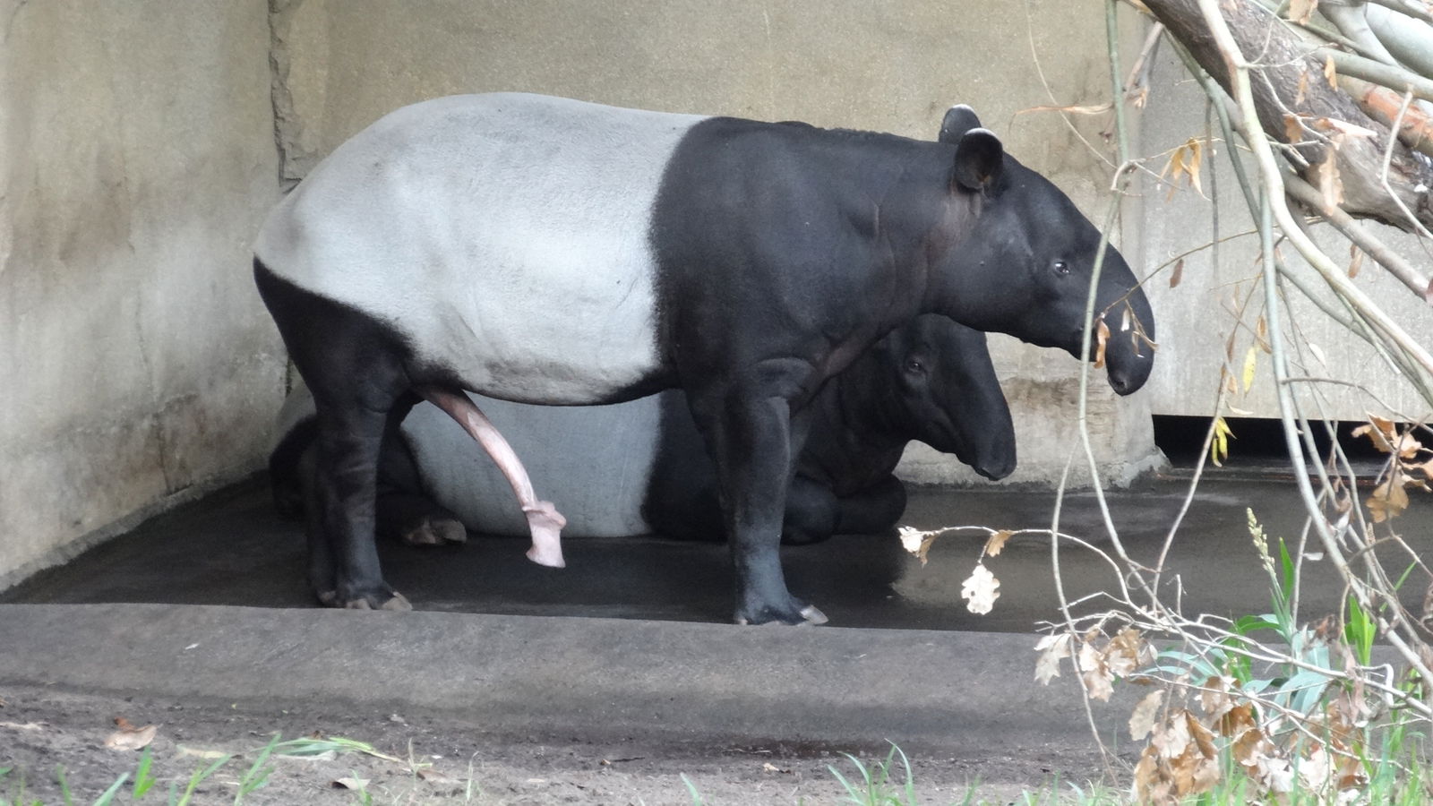 Zoologischer Garten Leipzig