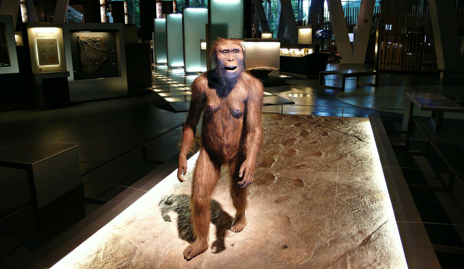 CosmoCaixa Barcelona