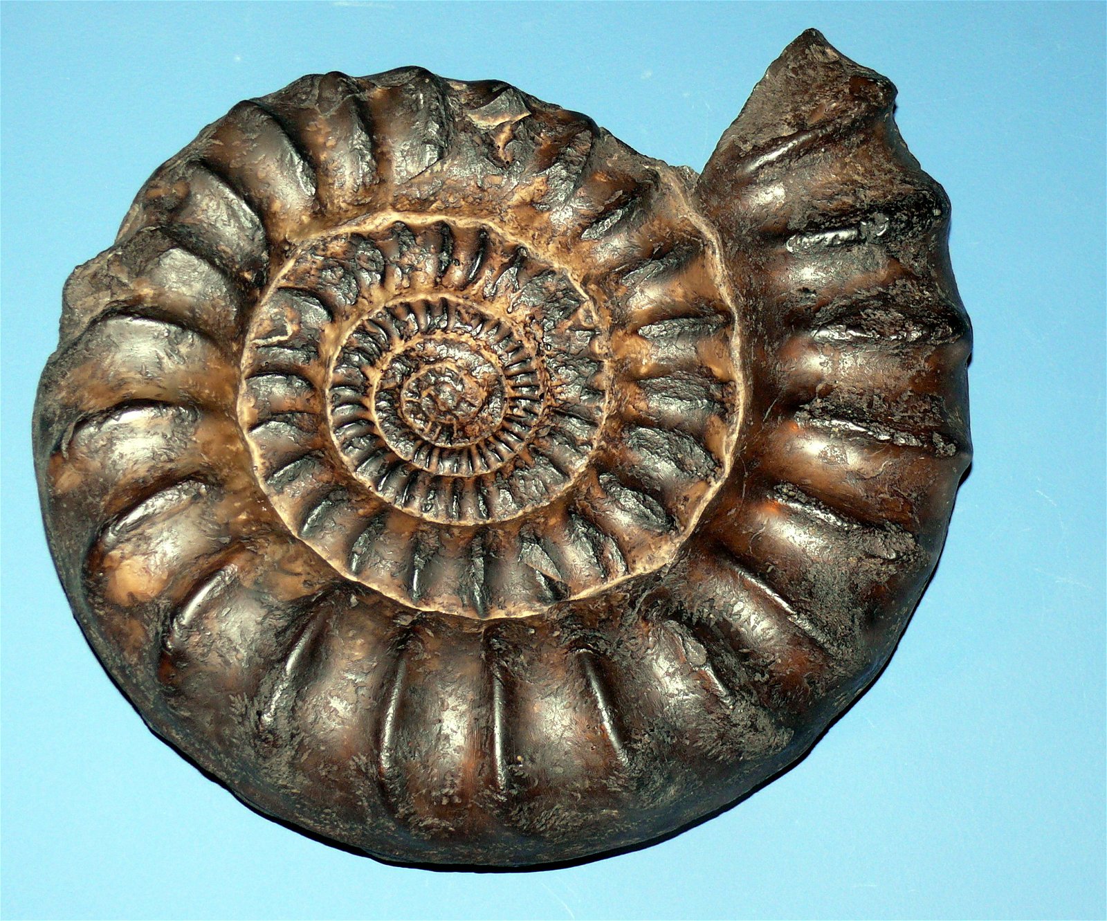 Aquazoo – Löbbecke-Museum Düsseldorf