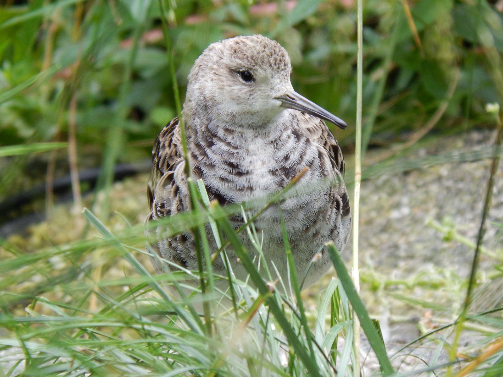 Tierpark und Fossilium Bochum
