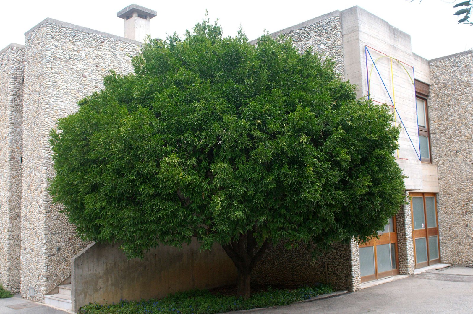 Villa Arson Centre d'Art Contemporain