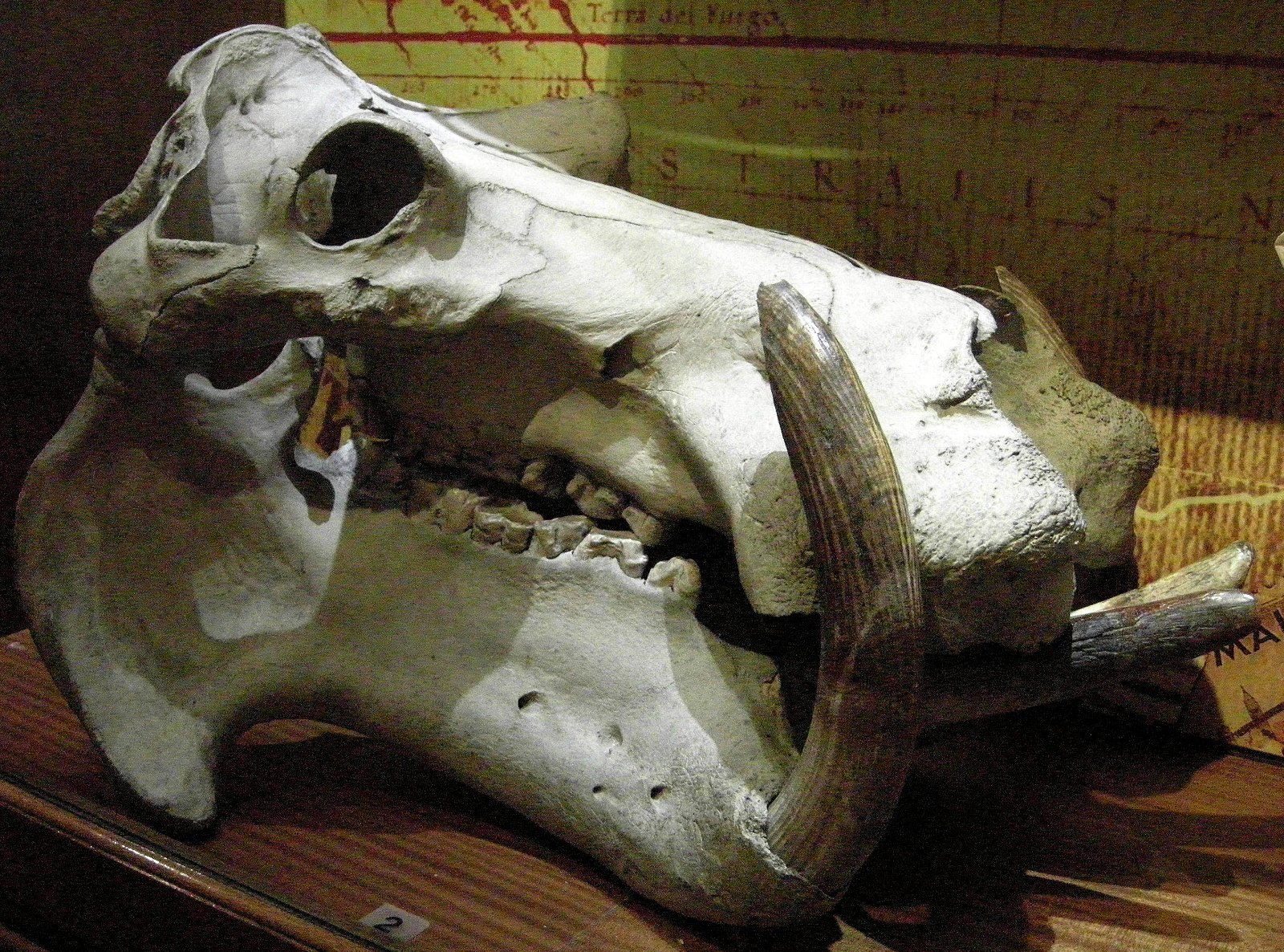 Cliffe Castle Museum