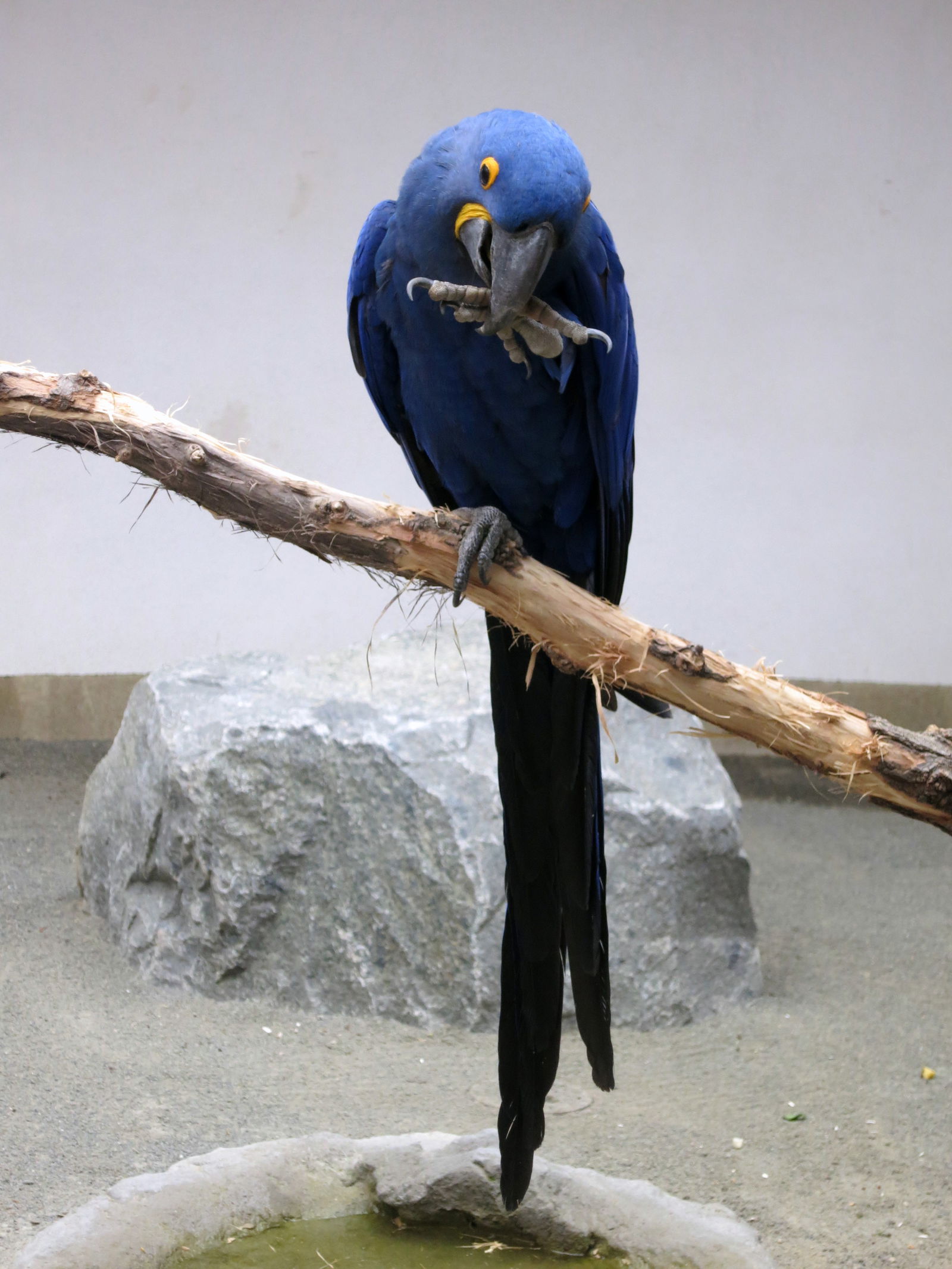 Zoologischer Garten Berlin