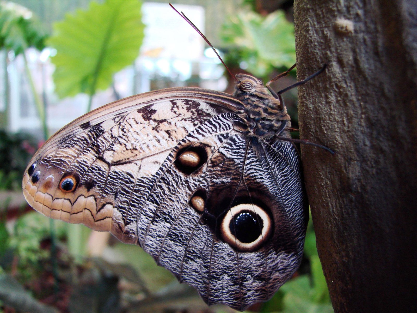 Wroclaw Zoo & Africarium
