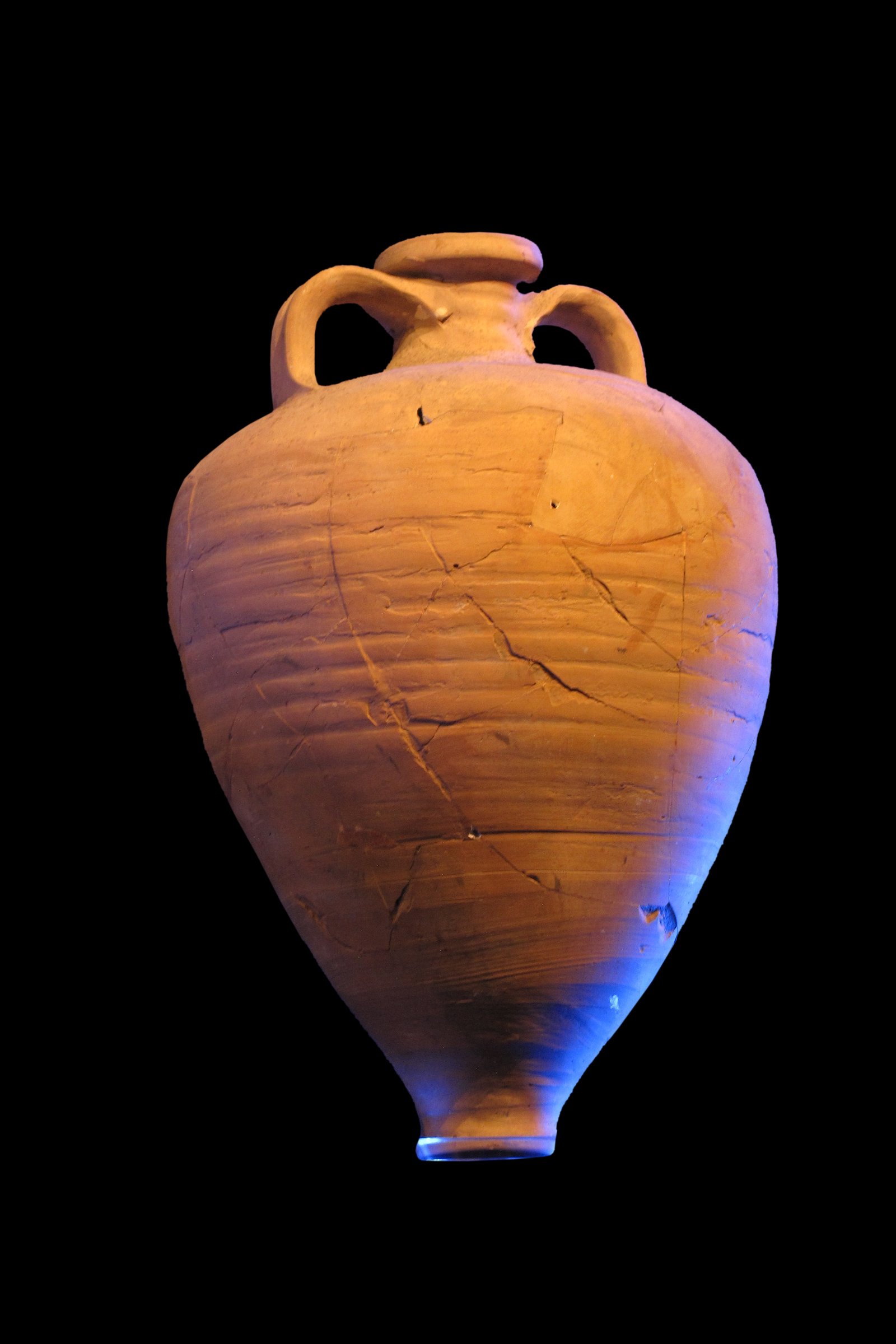 Musée des Docks Romains