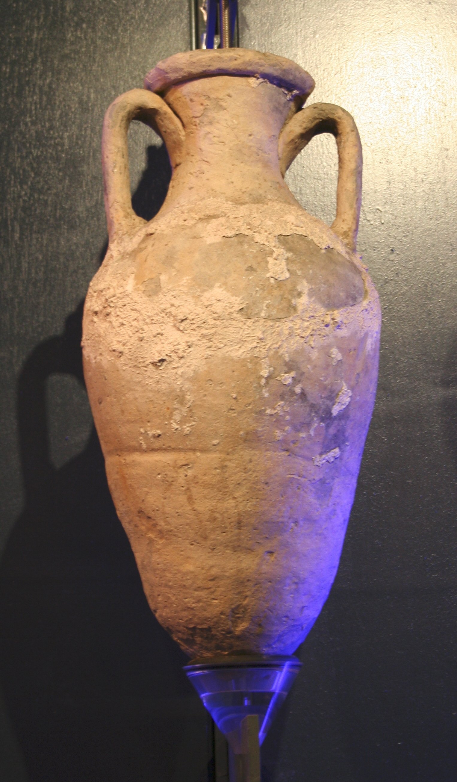 Musée des Docks Romains