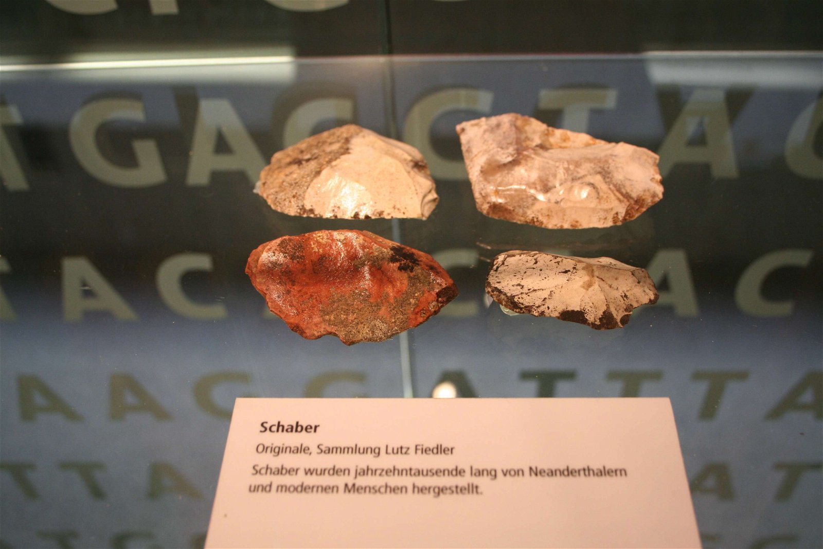 Neanderthal Museum