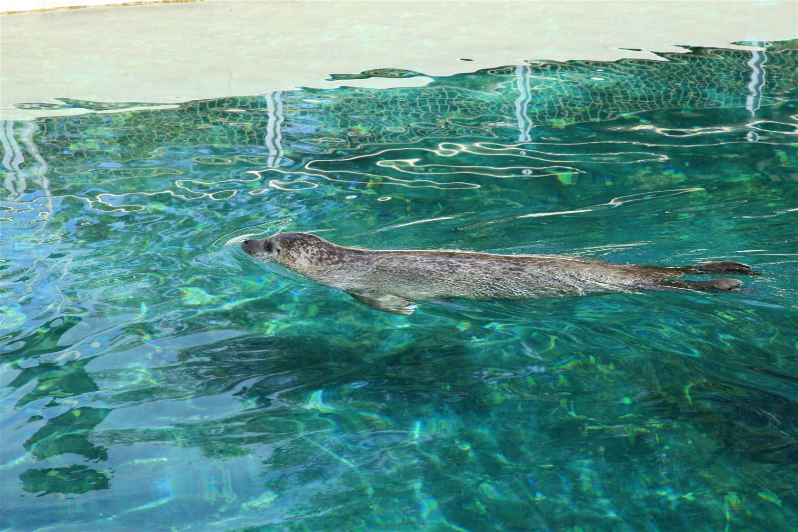 Tierpark und Fossilium Bochum