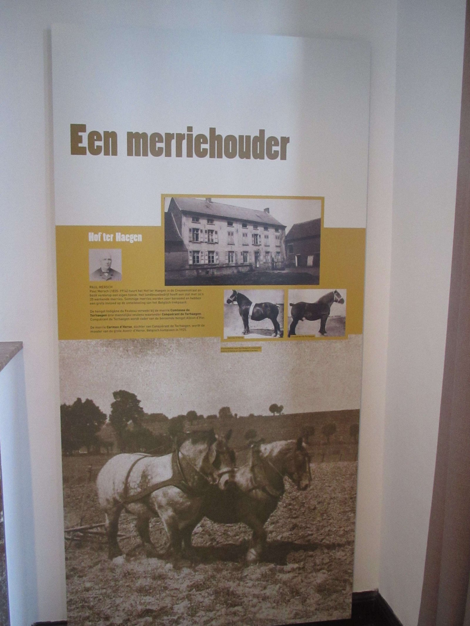 Museum van het Belgisch Trekpaard