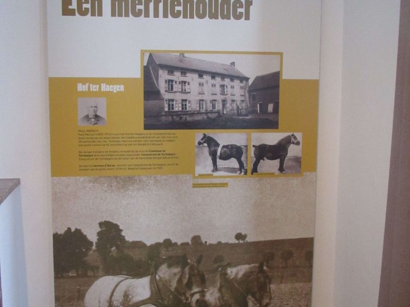 Museum van het Belgisch Trekpaard