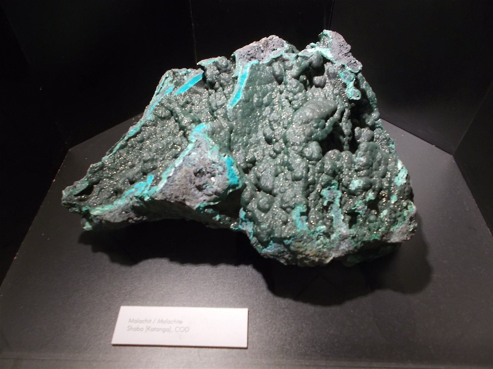 Hungarian Natural History Museum